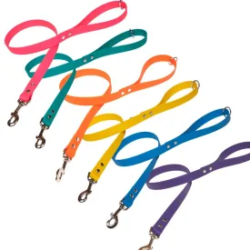 Bright Biothane Vegan Leather Waterproof Dog Leads