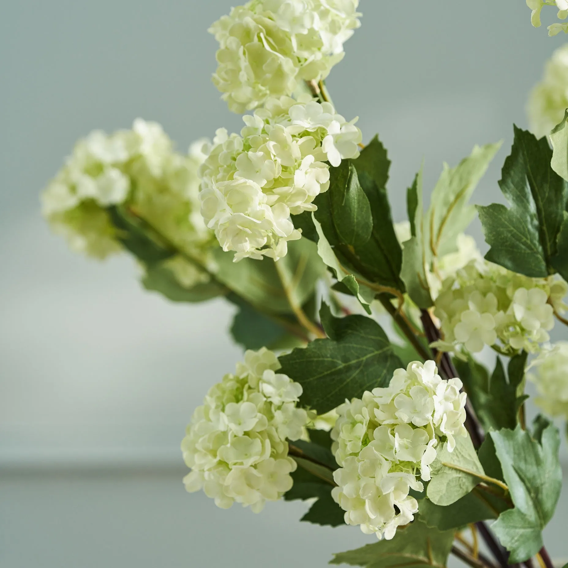 Faux Viburnum - Green