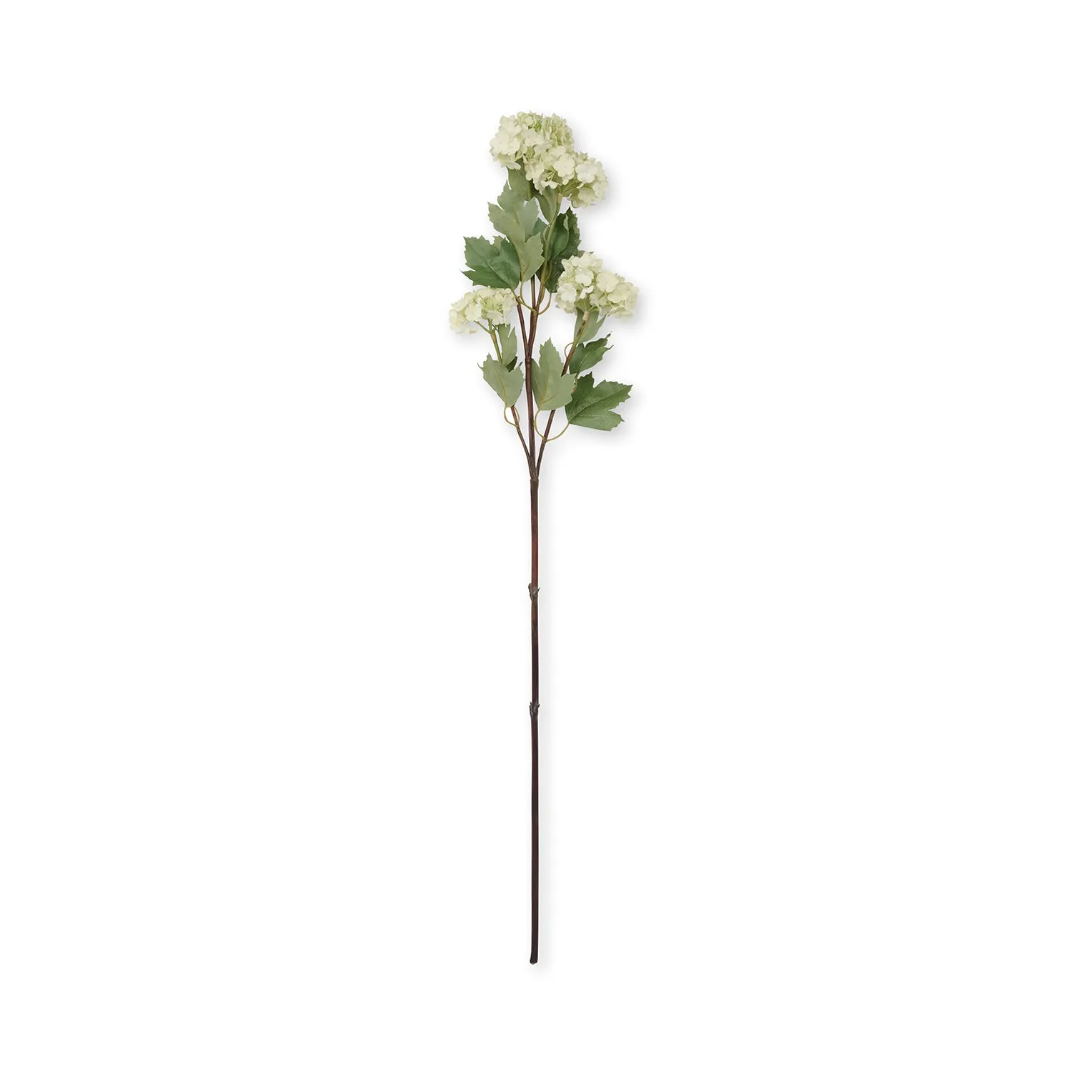 Faux Viburnum - Green