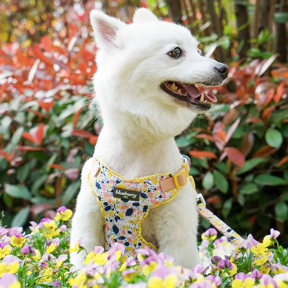 Made Well Floral Dog Leash