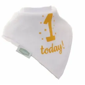 One Today Baby Bandana Bib