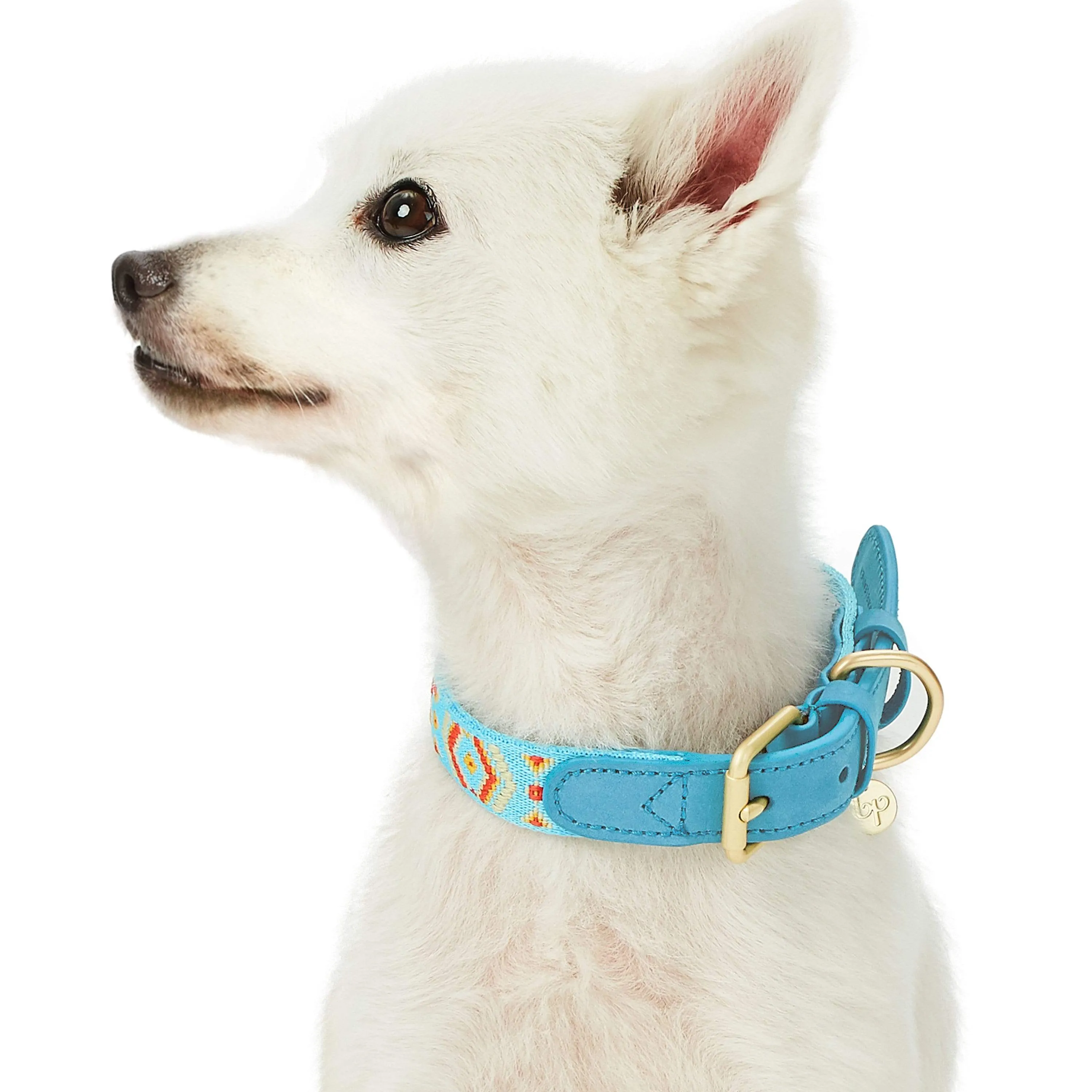 Southwestern Full Grain Leather & Polyester Dog Collar