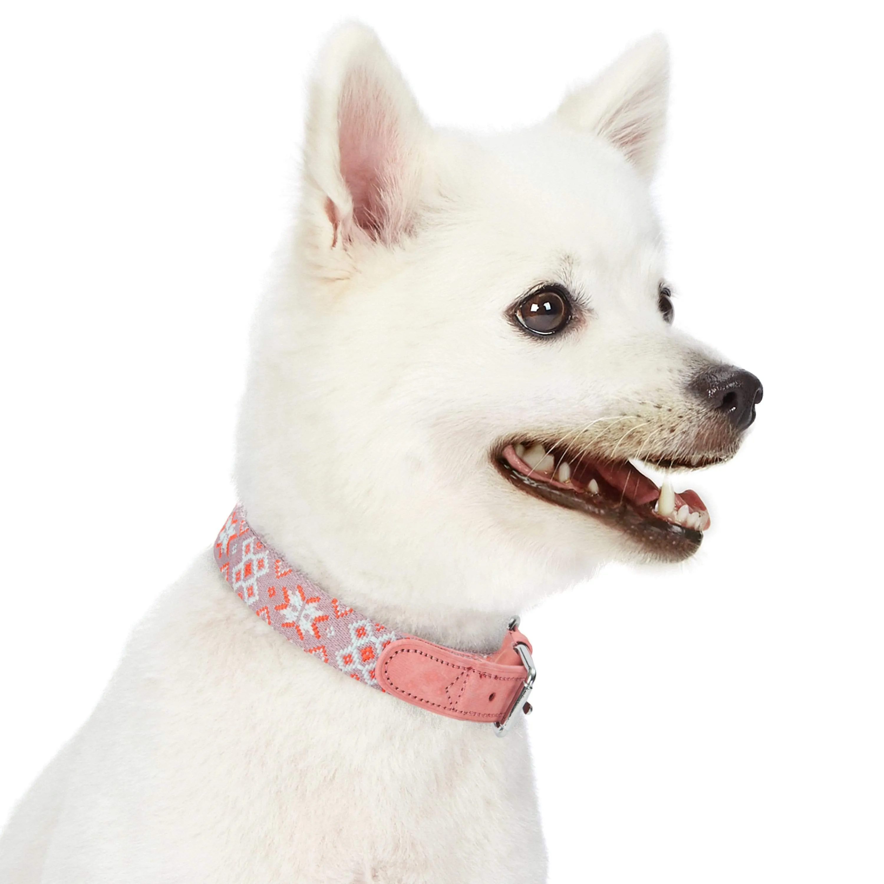 Southwestern Full Grain Leather & Polyester Dog Collar